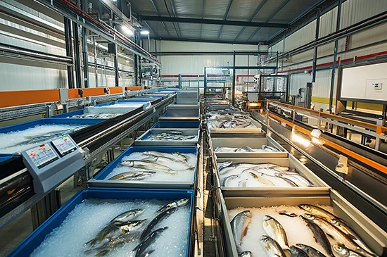 nandikoti_Fish cold Storage Room